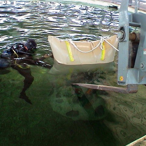Mote shark tank 10 05 (4) Mote shark tank 10 05 (4)