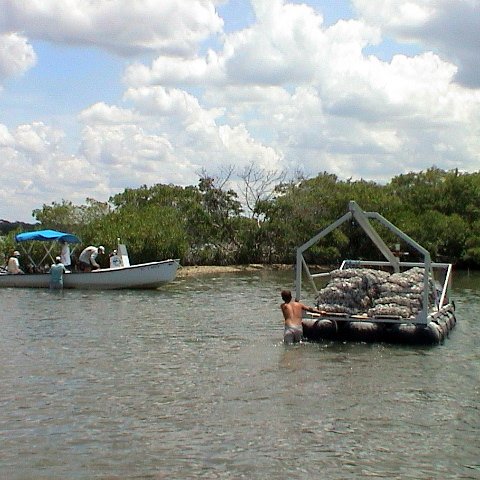 SBEP oyster proj (11) SBEP oyster proj (11)