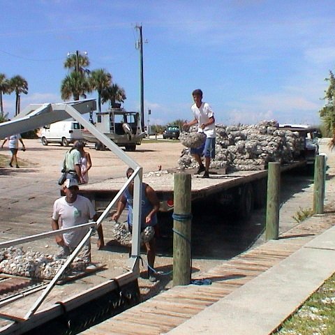 SBEP oyster proj (35) SBEP oyster proj (35)