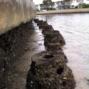 wall wall
