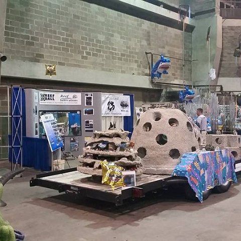 11229825_10205430449333567_1091707809539129330_n 11229825_10205430449333567_1091707809539129330_n