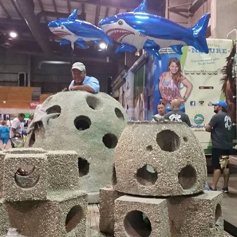 11745877_10205430450133587_485101310997386858_n 11745877_10205430450133587_485101310997386858_n