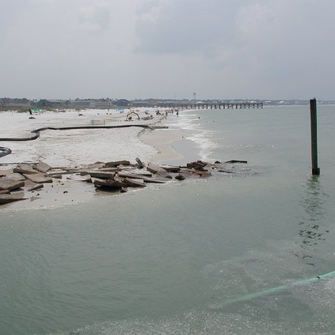 P7102737 P7102737