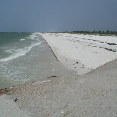 P7102740 P7102740