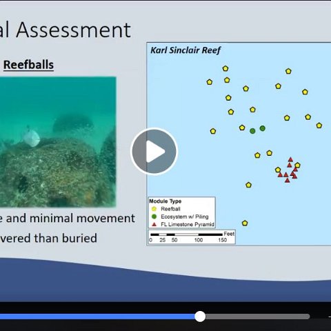 Bell Shoal Reef Ball Project 2000