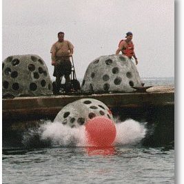 ReefBuilding2