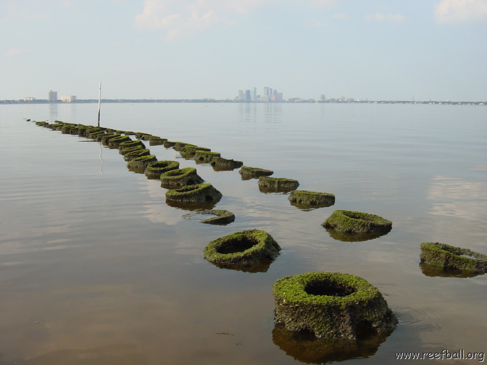 tampa_skyline_closeup_of_domes