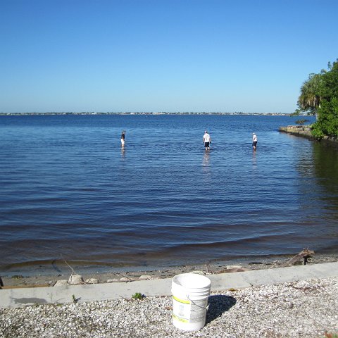 IMG_1564 IMG_1564