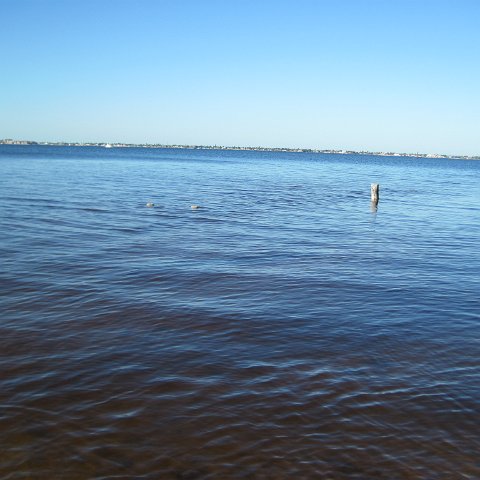 IMG_1565 IMG_1565