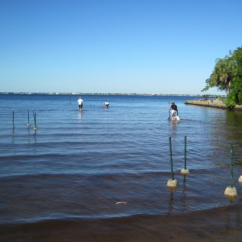 IMG_1584 IMG_1584