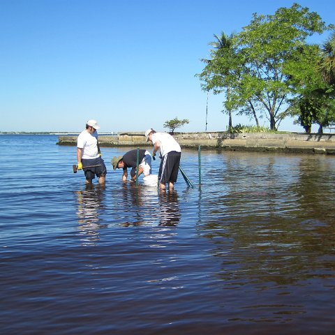 IMG_1586 IMG_1586