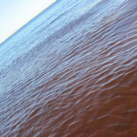IMG_1590 IMG_1590