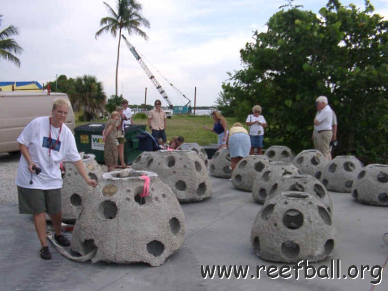 reef-ball-color142