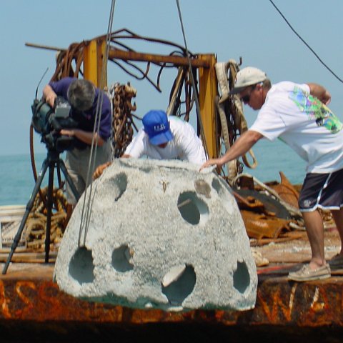 dsc00028 dsc00028