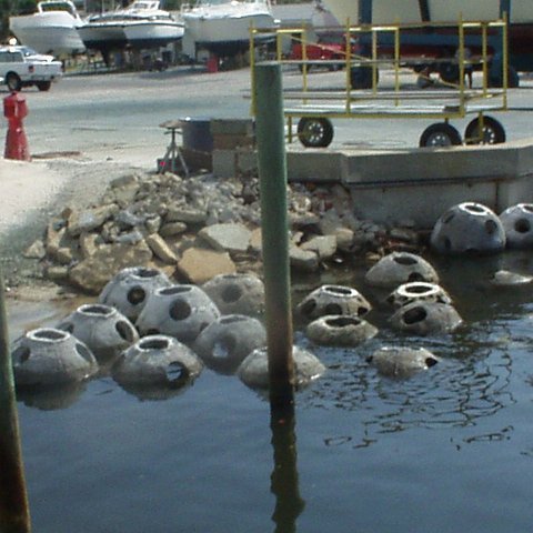 reef_balls_from_the_sea1 reef_balls_from_the_sea1