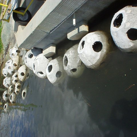 reef_balls_from_the_sea2 reef_balls_from_the_sea2