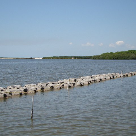 Bird Island east array under construction