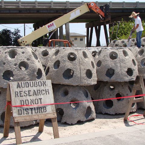 Bird Island reef balls at dock