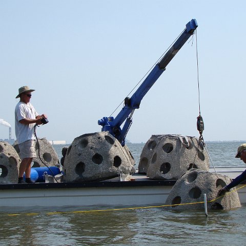 Bird Island unloading reef balls