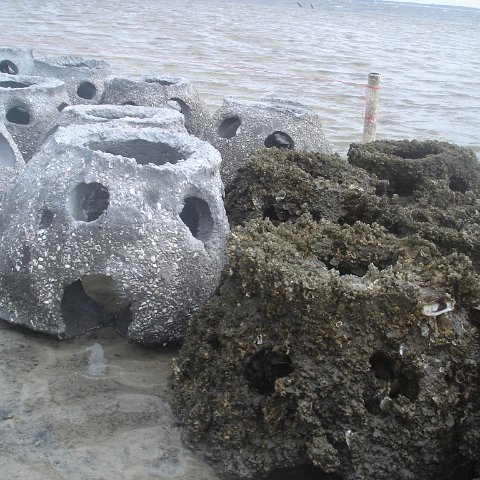 Macdill Phase II Reef Ball Project Update Photos