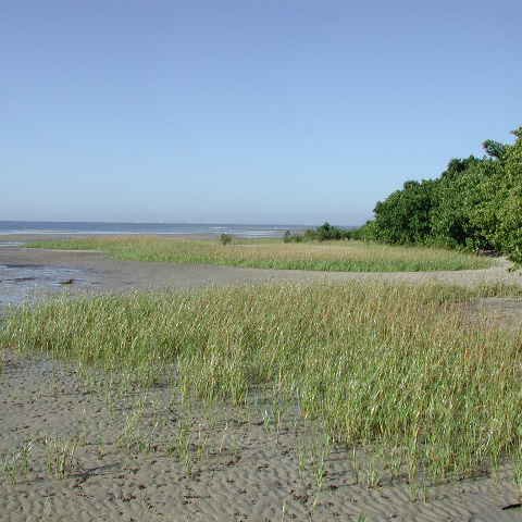 image038 image038