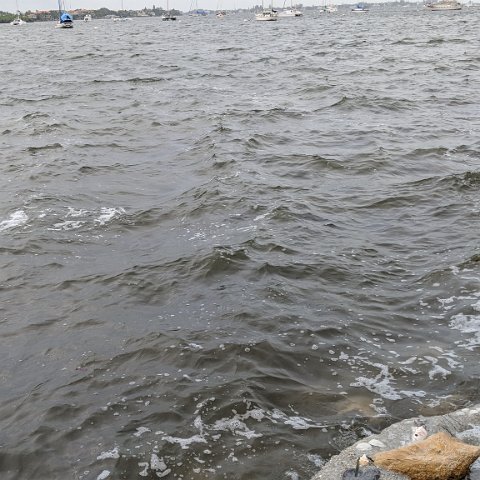 IMG_20181010_095151 IMG_20181010_095151