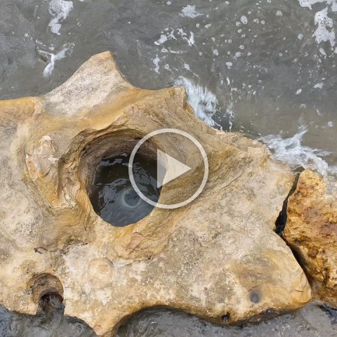 VID_20181010_090451 VID_20181010_090451