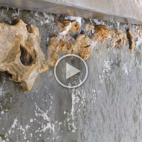 VID_20181010_095113 VID_20181010_095113