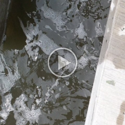 VID_20181010_101753 VID_20181010_101753