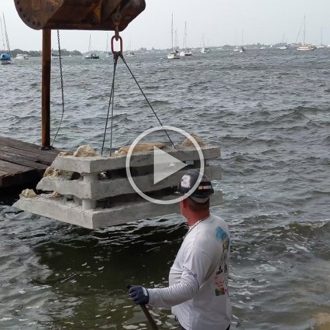 VID_20181010_102720 VID_20181010_102720