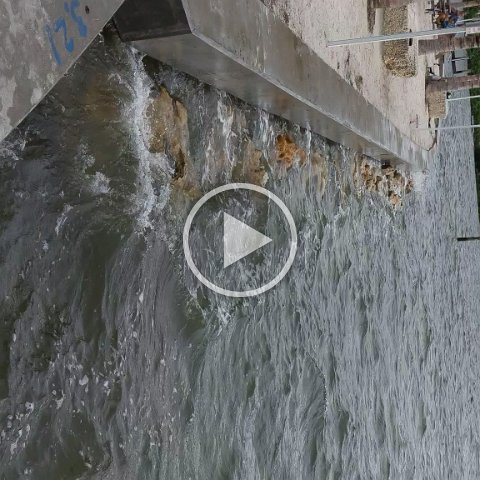 VID_20181010_115223 VID_20181010_115223