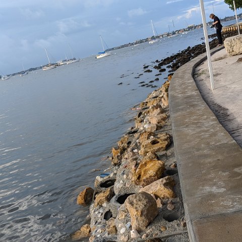 IMG_20181011_090541 IMG_20181011_090541