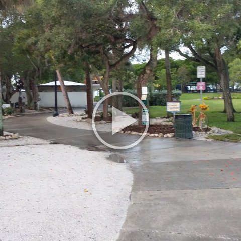 VID_20181011_081004 VID_20181011_081004