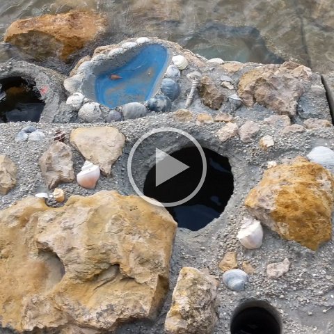 VID_20181011_081351 VID_20181011_081351