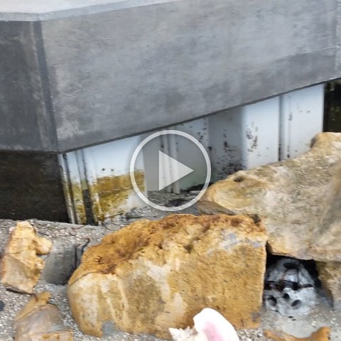 VID_20181011_081627 VID_20181011_081627