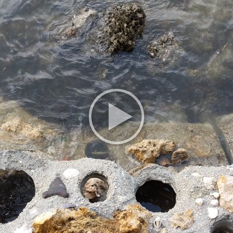 VID_20181011_082337 VID_20181011_082337