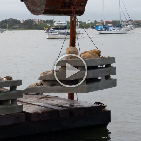 VID_20181011_083128 VID_20181011_083128