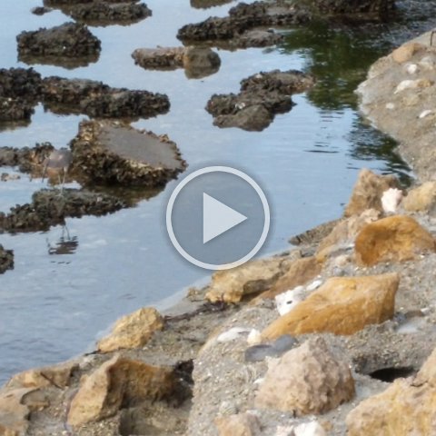 VID_20181011_085853 VID_20181011_085853