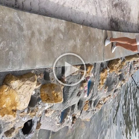 VID_20181011_093444 VID_20181011_093444