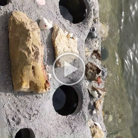 VID_20181011_101713 VID_20181011_101713