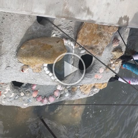 VID_20181011_112233 VID_20181011_112233