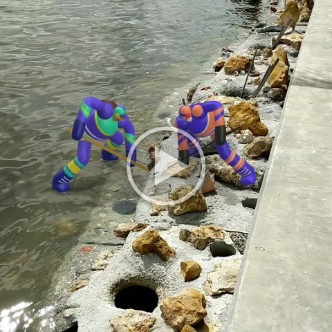 VID_20181011_132410 VID_20181011_132410