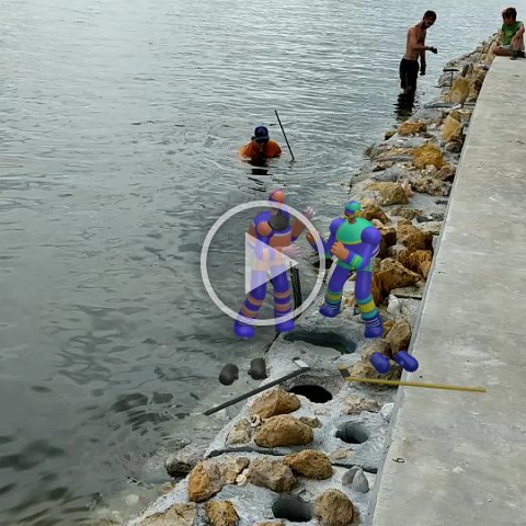 VID_20181011_135902 VID_20181011_135902