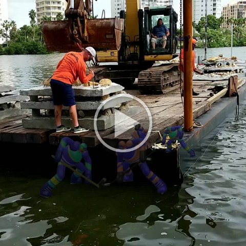 VID_20181011_145710 VID_20181011_145710