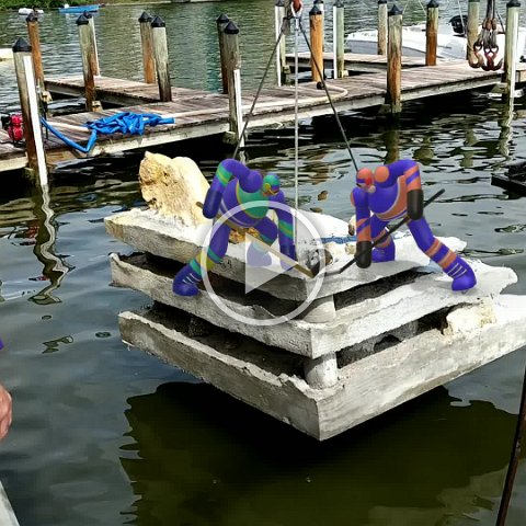 VID_20181011_150317 VID_20181011_150317