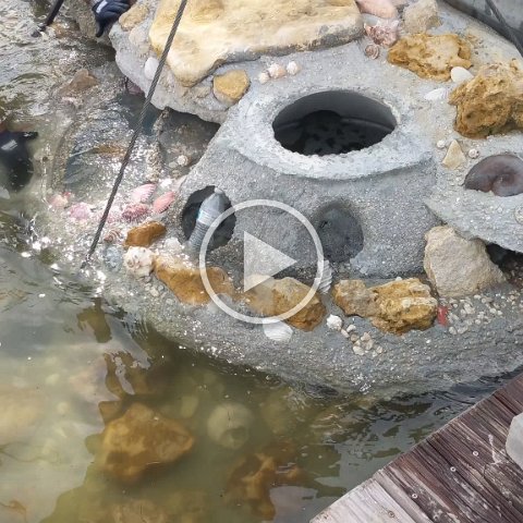 VID_20181011_154457 VID_20181011_154457