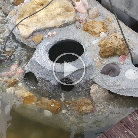 VID_20181011_154758 VID_20181011_154758