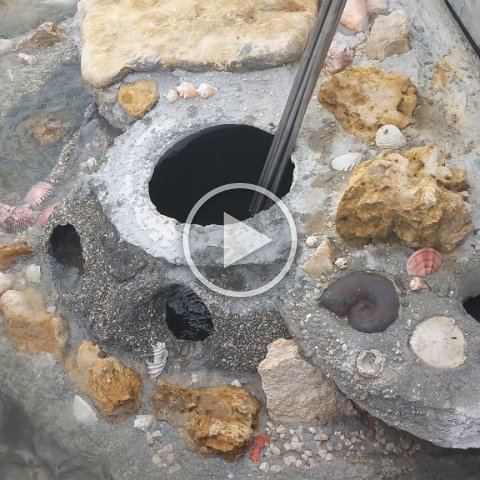 VID_20181011_160155 VID_20181011_160155