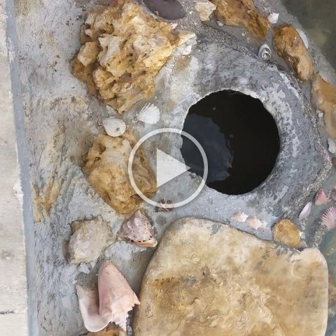 VID_20181011_161855 VID_20181011_161855