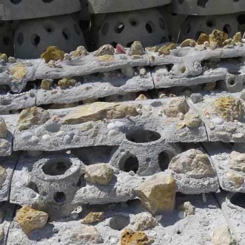 IMG_2311 IMG_2311